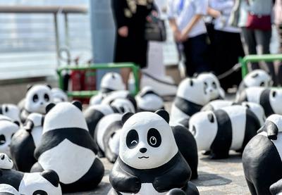 HONG KONG, CHINA - DECEMBER 07: Thousands of giant panda sculptures are displayed at the Avenue of Stars in Tsim Sha Tsu-stock-photo