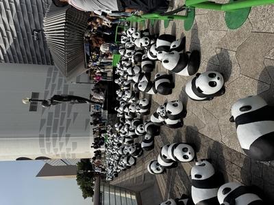 HONG KONG, CHINA - DECEMBER 07: Thousands of giant panda sculptures are displayed at the Avenue of Stars in Tsim Sha Tsu-stock-photo
