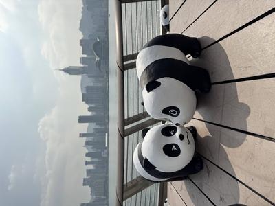 HONG KONG, CHINA - DECEMBER 07: Giant panda sculptures are displayed at the Avenue of Stars in Tsim Sha Tsui as part of-stock-photo