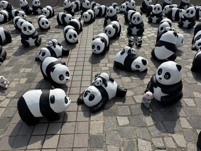 HONG KONG, CHINA - DECEMBER 07: Thousands of giant panda sculptures are displayed at the Avenue of Stars in Tsim Sha Tsu-stock-photo