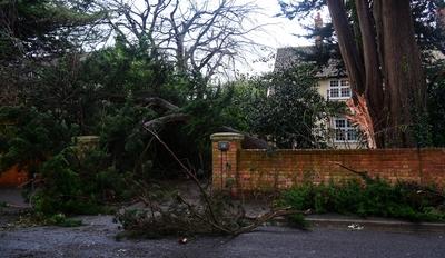 Storm Darragh hits Somerset, Burnham on Sea, UK - 7 Dec 2024-stock-photo