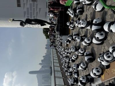 HONG KONG, CHINA - DECEMBER 07: Thousands of giant panda sculptures are displayed at the Avenue of Stars in Tsim Sha Tsu-stock-photo