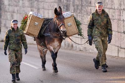 Nikolaus und Buttnmandllauf der Bundeswehr am 05.12.2024-stock-foto