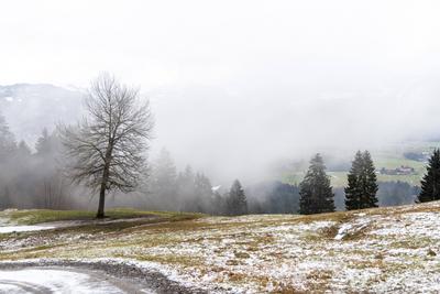 Tr?bes Wetter in Bayern-stock-foto