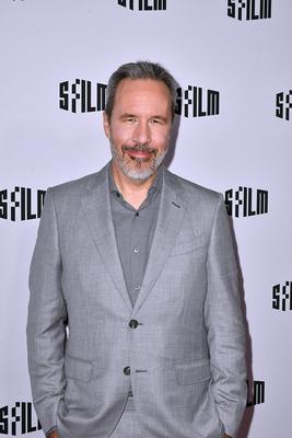 2024 SFFILM AWARDS - Arrivals-stock-photo