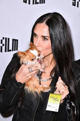2024 SFFILM AWARDS - Arrivals-stock-photo