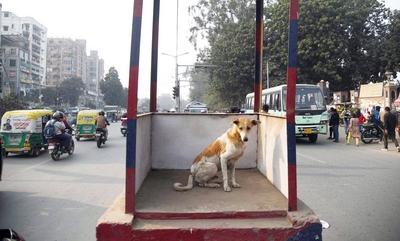 Bihar Politics And Governance-stock-photo