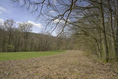 Rabengrund, Wiesen, Wald, Wiesbaden, Hessen, Deutschland *** Rabengrund, meadows, forest, Wiesbaden, Hesse, Germany-stock-foto