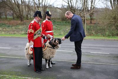Prince William visits 1st Battalion Mercian Regiment-stock-foto