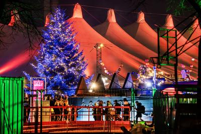 Tollwood Winterfestival auf der Theresienwiese, Weihnachtsbaum und Zelte sind in farbiges Licht getaucht, M?nchen, Dezember 2024-stock-photo