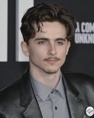 Premiere mondiale du film A Complete Unknown a Los Angeles-stock-foto