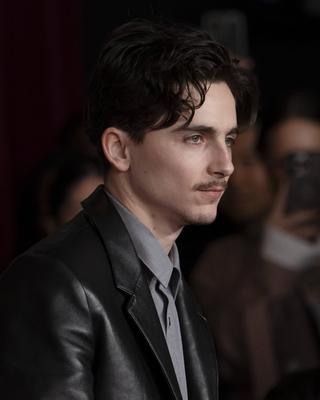 Premiere mondiale du film A Complete Unknown a Los Angeles-stock-foto