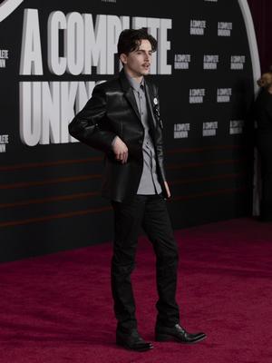 Premiere mondiale du film A Complete Unknown a Los Angeles-stock-foto