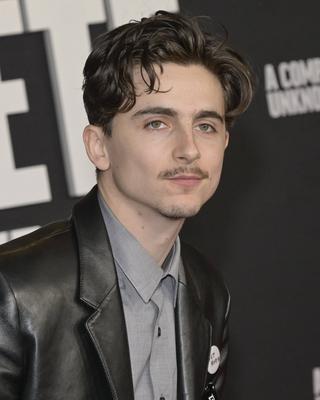 Premiere mondiale du film A Complete Unknown a Los Angeles-stock-foto
