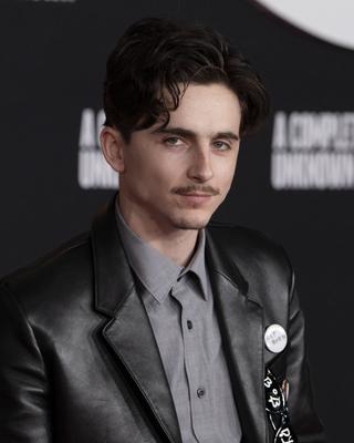 Premiere mondiale du film A Complete Unknown a Los Angeles-stock-foto