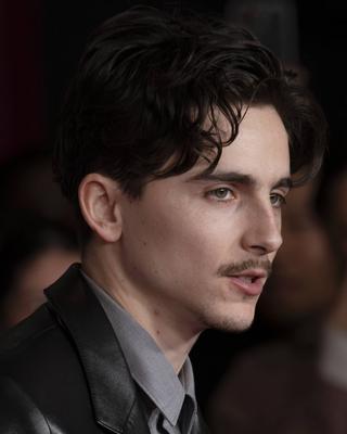 Premiere mondiale du film A Complete Unknown a Los Angeles-stock-foto