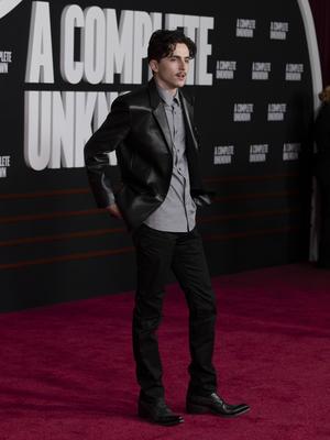 Premiere mondiale du film A Complete Unknown a Los Angeles-stock-foto