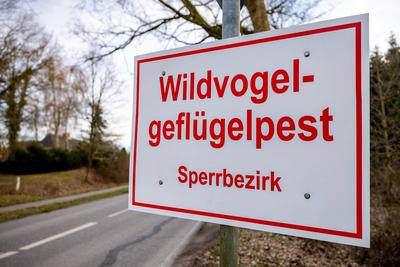 L?tjenburg, 18. M?rz 2021 - Ein Schild mit der Aufschrift Wildvogelgefl?gelpest Sperrbezirk steht an der L178 nahe L?tj-stock-foto