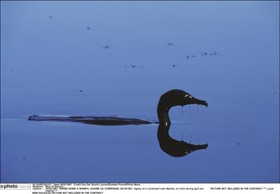 Best of Gamma-stock-foto
