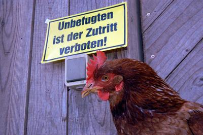 Aufnahmedatum gesch?tzt-stock-foto