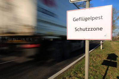 Blick am Dienstag (07.02.2023) unweit von Poggendorf (Landkreis Vorpommern R?gen) auf ein Schild das auf eine Gefl?gelpe-stock-photo