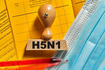 Germany - 02 July 2024: A vaccination certificate from the World Health Organization (WHO), which contains international-stock-foto