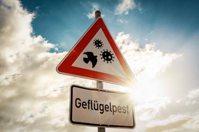 Bavaria, Germany - 11 February 2023: Warning sign with the inscription: Avian influenza. Virus symbols with a bird. Warn-stock-foto