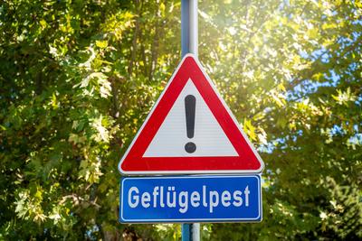 26 February 2023: Warning sign in front of green trees with the inscription: Avian influenza PHOTOMONTAGE *** Warnschild-stock-photo