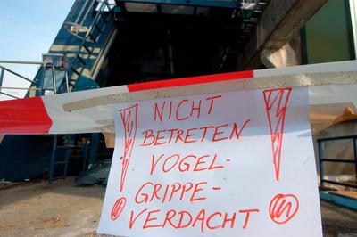 Aufnahmedatum gesch?tzt-stock-foto