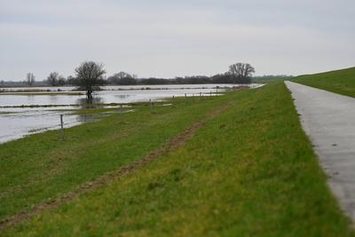 Der Fluss Ems tritt ?bers Ufer.-stock-foto