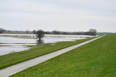 Der Fluss Ems tritt ?bers Ufer.-stock-foto