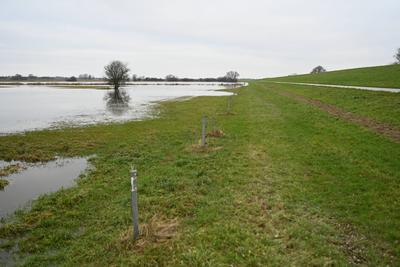 Der Fluss Ems tritt ?bers Ufer.-stock-foto