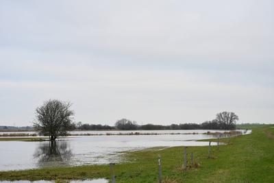 Der Fluss Ems tritt ?bers Ufer.-stock-foto