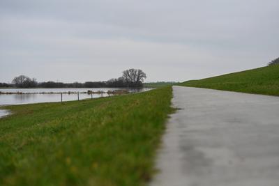 Der Fluss Ems tritt ?bers Ufer.-stock-foto