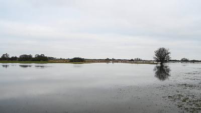 Der Fluss Ems tritt ?bers Ufer.-stock-foto