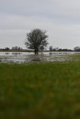 Der Fluss Ems tritt ?bers Ufer.-stock-foto