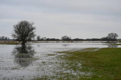 Der Fluss Ems tritt ?bers Ufer.-stock-foto