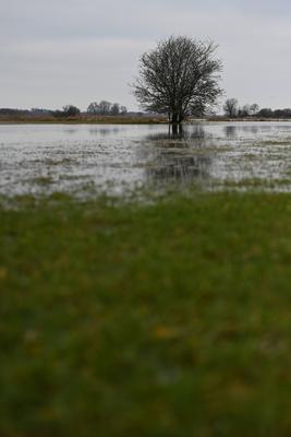 Der Fluss Ems tritt ?bers Ufer.-stock-foto