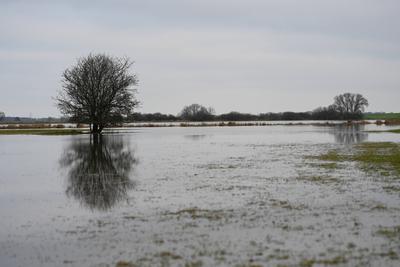 Der Fluss Ems tritt ?bers Ufer.-stock-foto