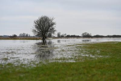 Der Fluss Ems tritt ?bers Ufer.-stock-foto