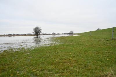Der Fluss Ems tritt ?bers Ufer.-stock-foto