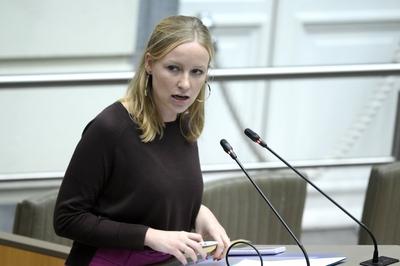 Plenary Session Flemish Parliament 11/12/2024-stock-foto