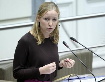 Plenary Session Flemish Parliament 11/12/2024-stock-foto