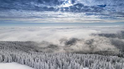 Lust auf Winter? Nach tagelangem November grau gab es in den Mittelgebirgen reichlich Neuschnee. Doch auch hier waren di-stock-foto