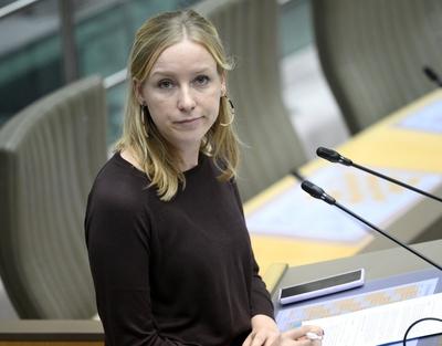 Plenary Session Flemish Parliament 11/12/2024-stock-foto
