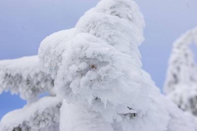 Lust auf Winter? Nach tagelangem November grau gab es in den Mittelgebirgen reichlich Neuschnee. Doch auch hier waren di-stock-foto