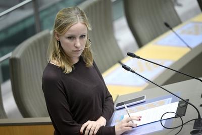 Plenary Session Flemish Parliament 11/12/2024-stock-foto