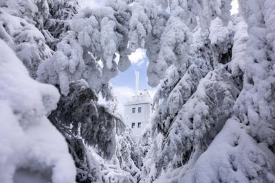 Lust auf Winter? Nach tagelangem November grau gab es in den Mittelgebirgen reichlich Neuschnee. Doch auch hier waren di-stock-foto