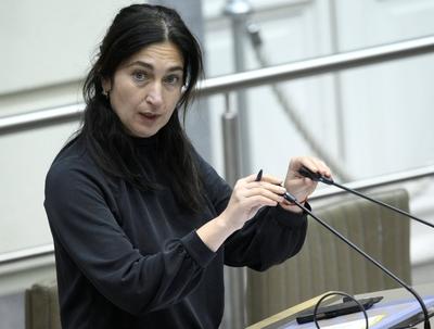Plenary Session Flemish Parliament 11/12/2024-stock-foto