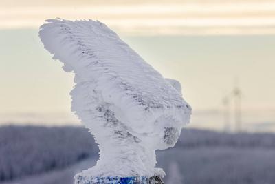 Lust auf Winter? Nach tagelangem November grau gab es in den Mittelgebirgen reichlich Neuschnee. Doch auch hier waren di-stock-foto
